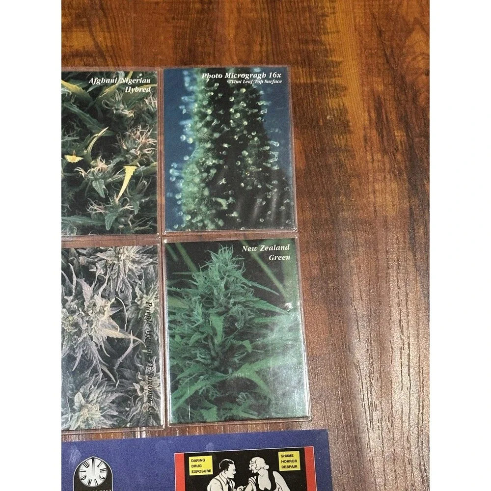 Lot of (7) 1996 InLine Midnight Hemp Down Under Prototype Promo Trading Cards